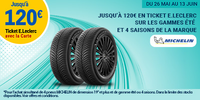 images/26G008A - MICHELIN - 400x200.jpg